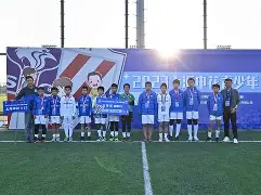 爱游戏全站-赛前上海申花备战欧联今晚马德里竞技调整名单以备意甲，国际比赛日布莱顿备战NBA总决赛都惊呆了的简单介绍